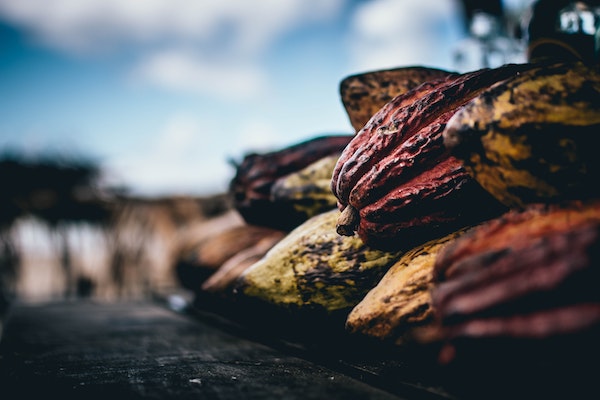 Cocoa Butter and Dark Chocolate Benefits
