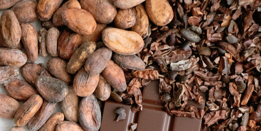 Dark Chocolate Benefits Askinosie