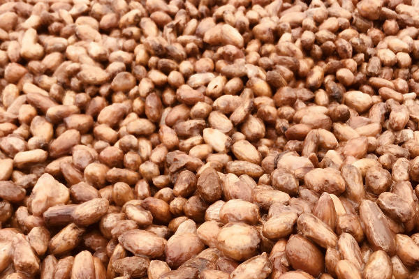 cacao beans dark chocolate