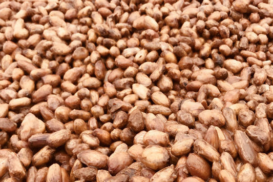 cacao beans dark chocolate
