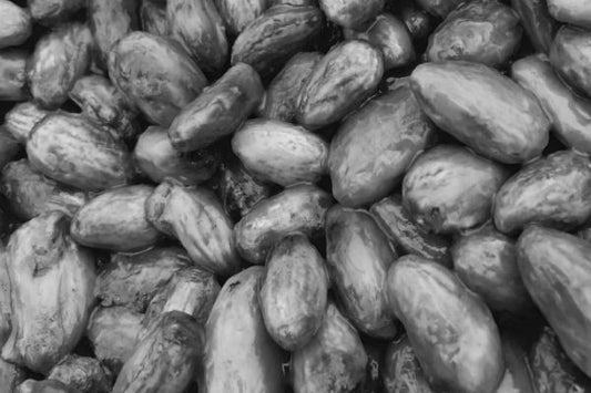 cacao beans dark chocolate