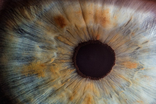 dark chocolate benefits for vision