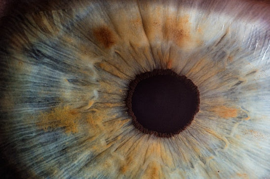 dark chocolate benefits for vision
