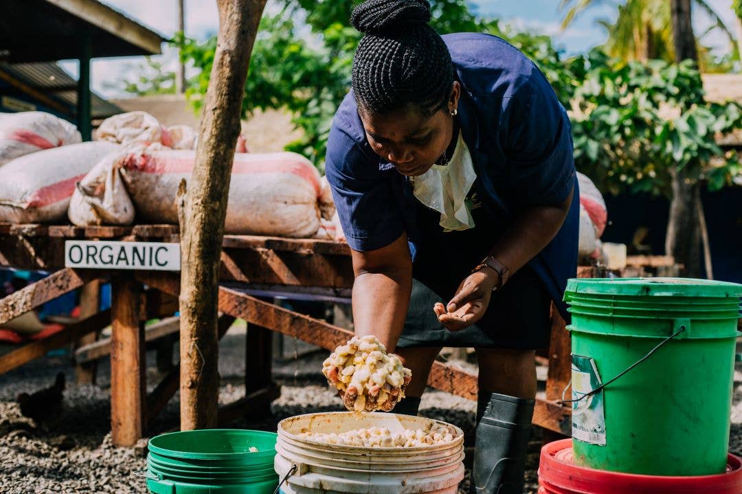 Dick Taylor Dark Chocolate - 65% Tanzania Kilombero