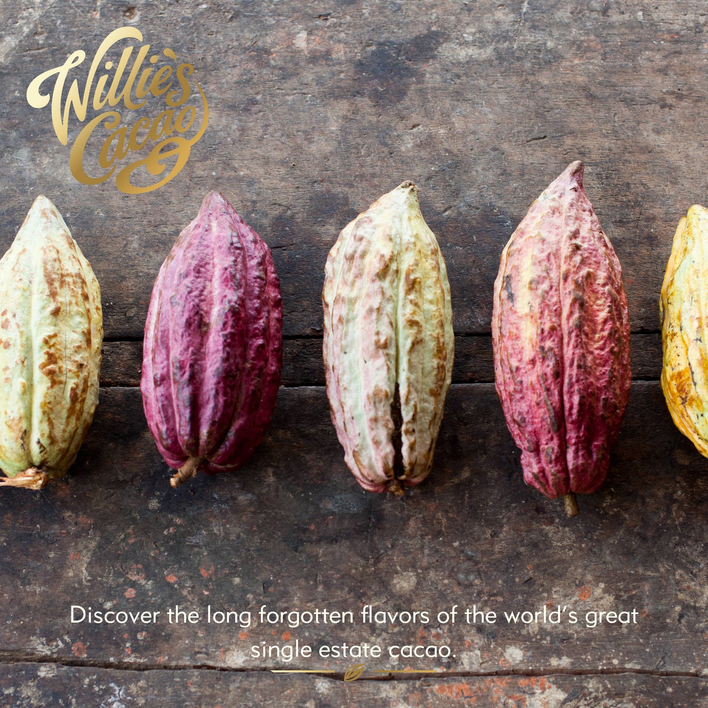 Willie's Cacao - Rio Caribe 72% Dark Chocolate bar