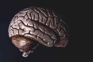 dark chocolate benefits for your brain
