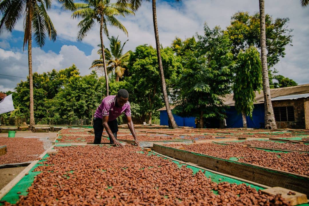 Dick Taylor Dark Chocolate - 65% Tanzania Kilombero